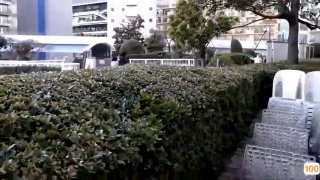 芳星园一区房子多高⭕❌欧美精品A片XXX⭕❌欧美性猛交XXXX乱大交极品-无码av电影在线观看不卡